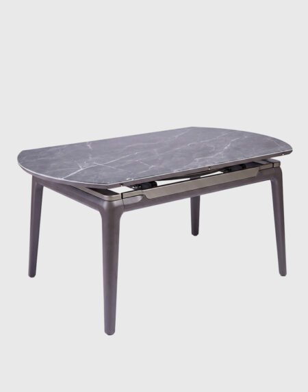 Table à manger (511)